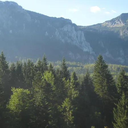 2 Sterne Kienklause Kein Wifi Wlan Keinen Handyempfang Steinbach am Attersee